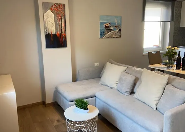Pet friendly Apartmani Zuzic Porec