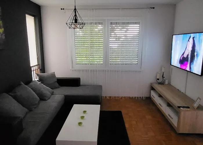 Apartment Davor Pula