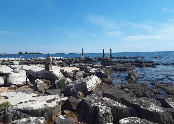 Pet friendly Apartment Finn Rovinj