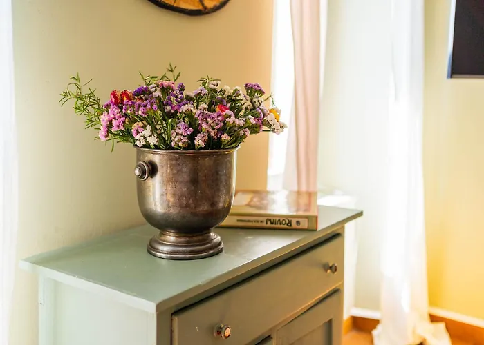 Apartment Mediterraneo Rovinj