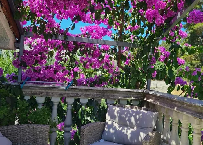 Pet friendly Apartments Ljiljana Pula