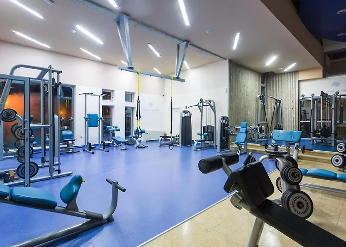 Porec Dog Friendly Lodging and Hotels