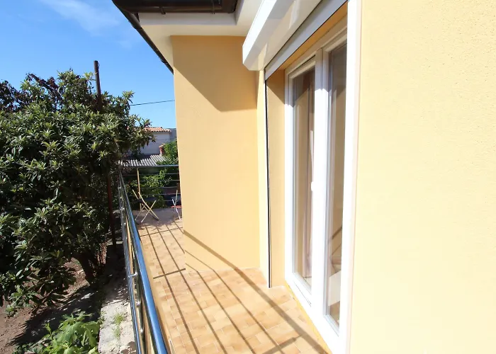 Pet friendly Apartments Polenta Rovinj