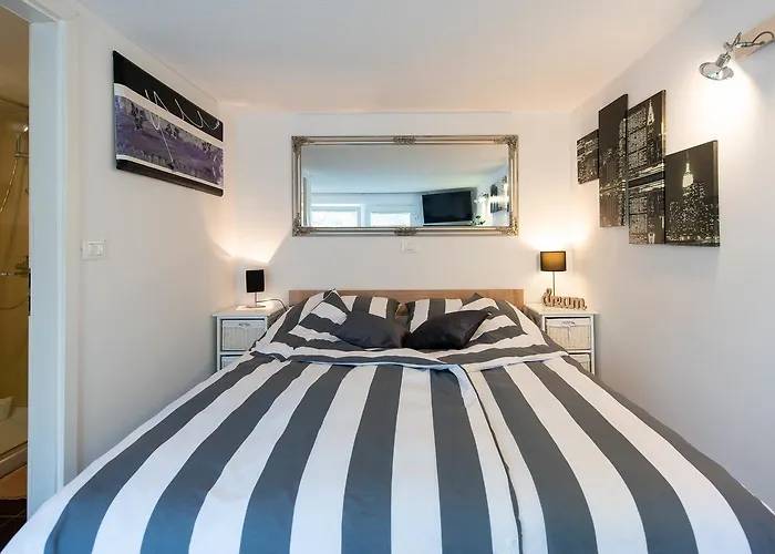 Pet friendly Studio City Garden Rovinj