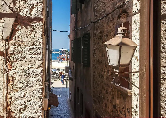Pet friendly Apartment Marconi Rovinj