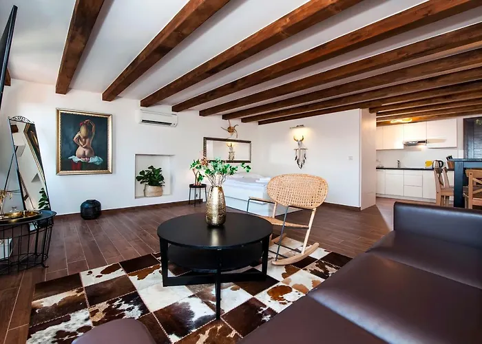 Pet friendly Villa Seaview! 3-Apartments In Old Town! Rovinj